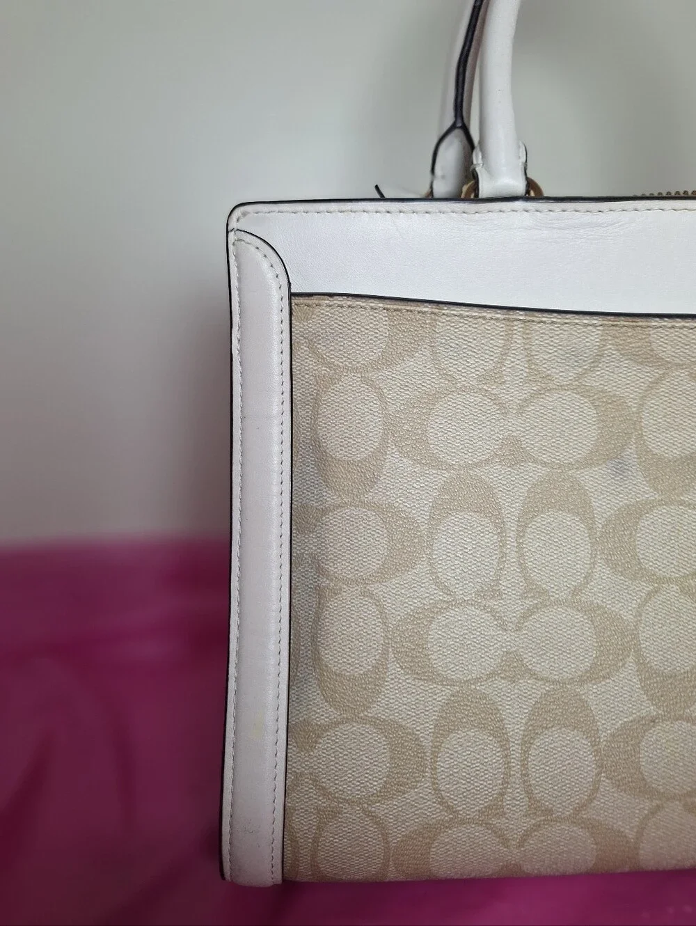 Coach ZOE Carryall Signature Canvas